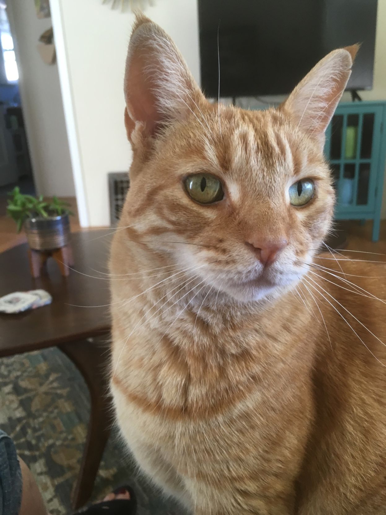 Carlos